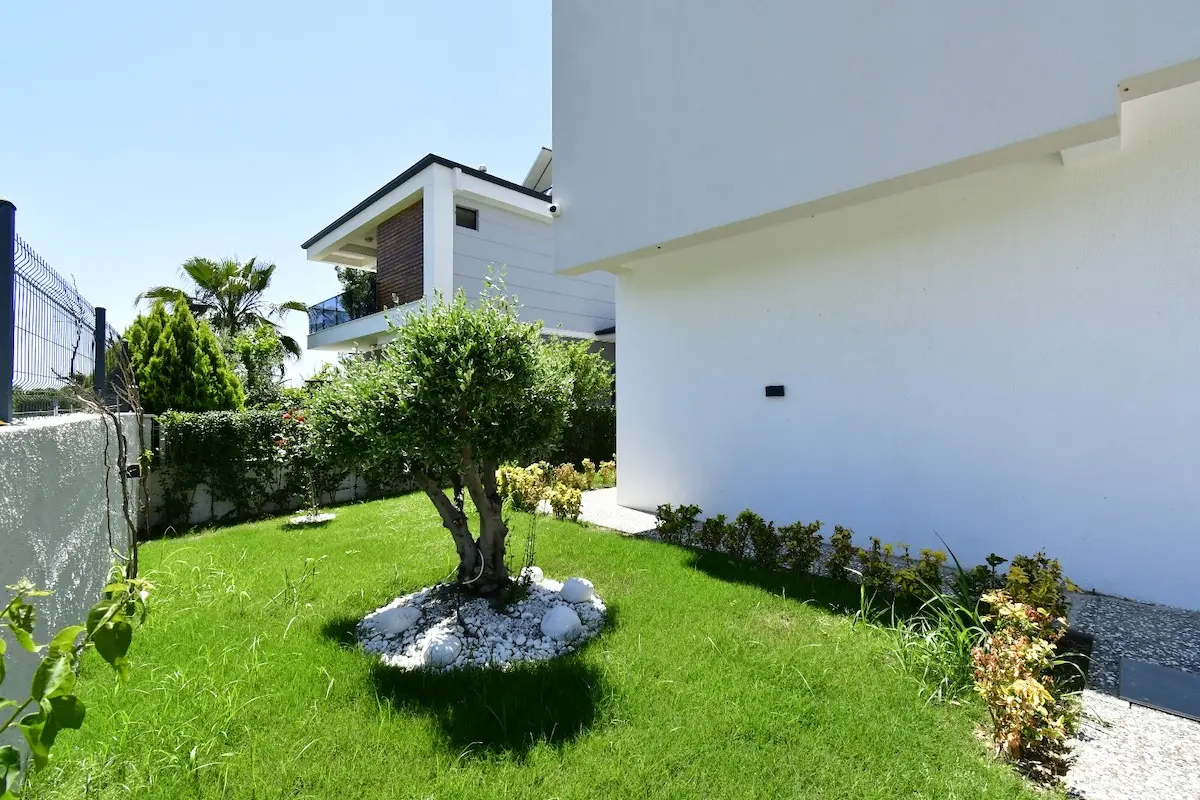 Landscaped garden